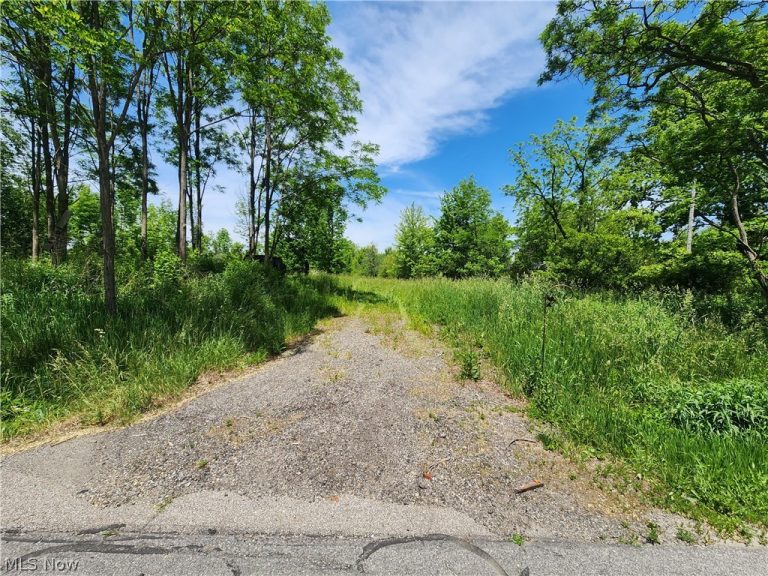 14161 Painesville Warren Road, Painesville, OH - Photo 2