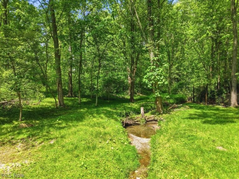 265 Ravenna Street, Hudson, OH - Photo 5