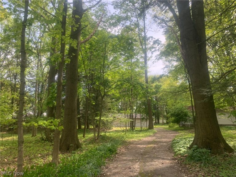 1340 Lincoln Avenue, Salem, OH - Photo 6