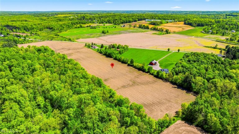 V/L Taylor Wells Road, Chardon, OH - Photo 6