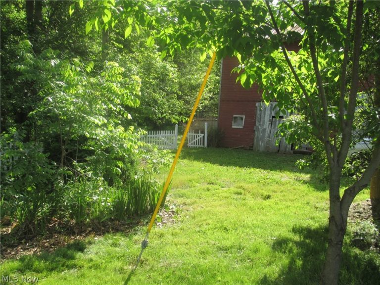 11209 Spencer Mills Road, Spencer, OH - Photo 2