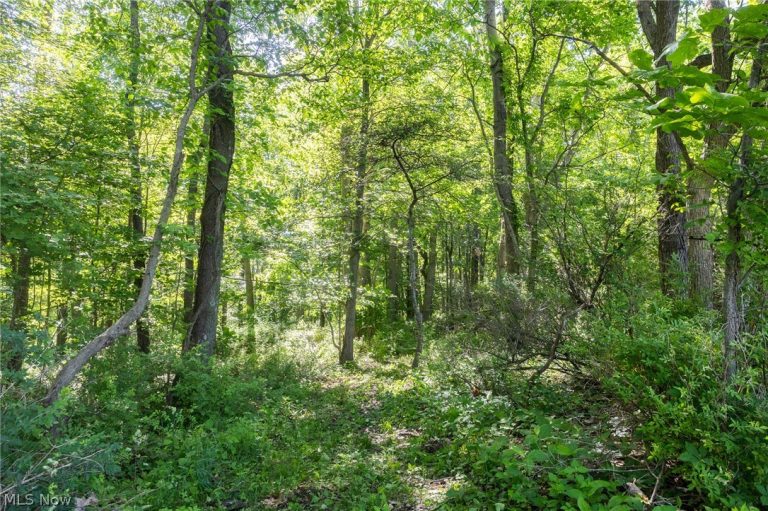 Ridge Rd, Minerva, OH - Photo 4
