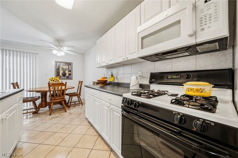 1408 Golden Gate Boulevard #203, Mayfield Heights, OH - Photo 2
