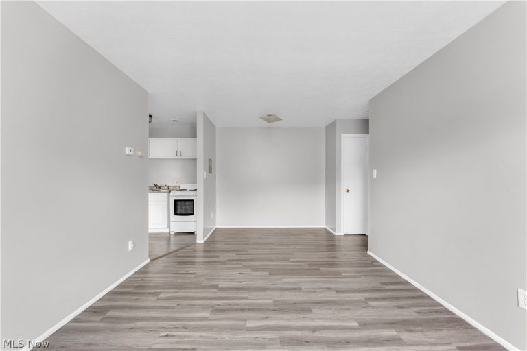 1415 Wyandotte Avenue #303, Lakewood, OH - Photo 4