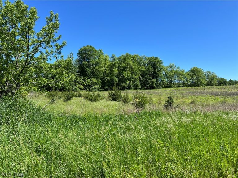 Shaw Road, Spencer, OH - Photo 3