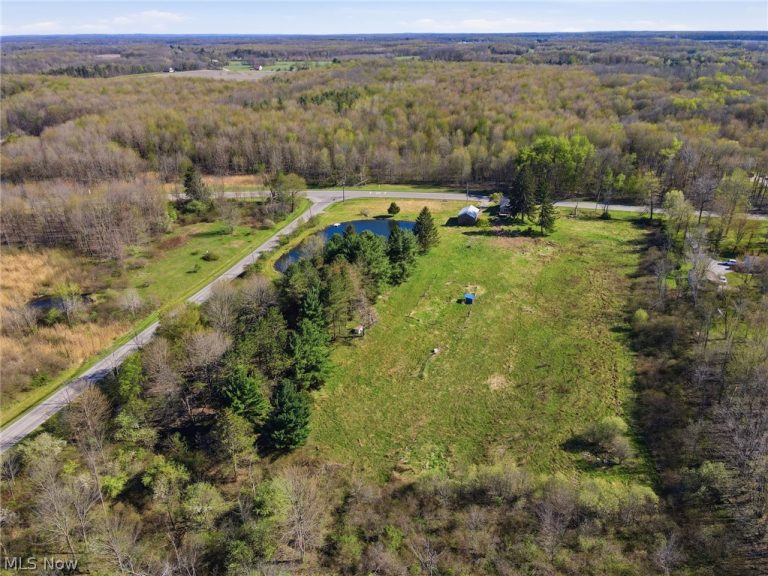 1243 State Route 167, Jefferson, OH - Photo 8