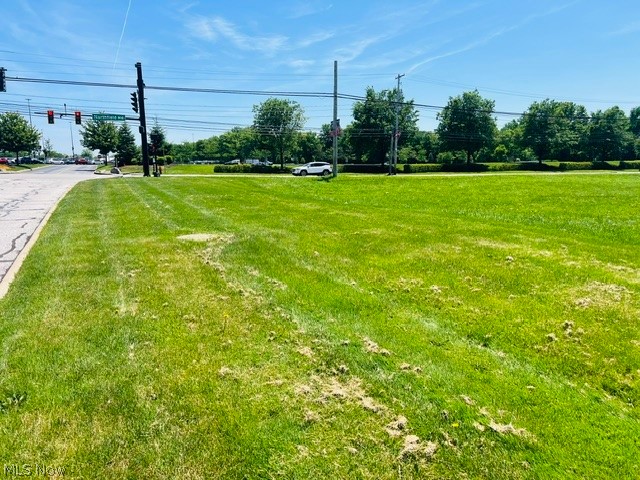 Northfield Road, Northfield, OH - Photo 3