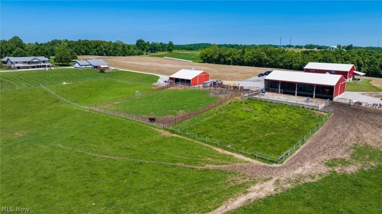 10550 Amish Ridge Road, Mount Perry, OH - Photo 4