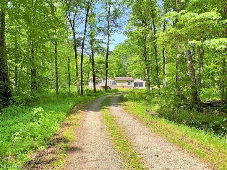 4233 County Line Road, Diamond, OH - Photo 5