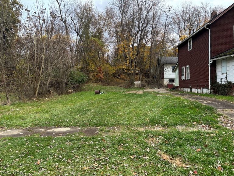 1125 Garland Avenue, Youngstown, OH - Photo 4