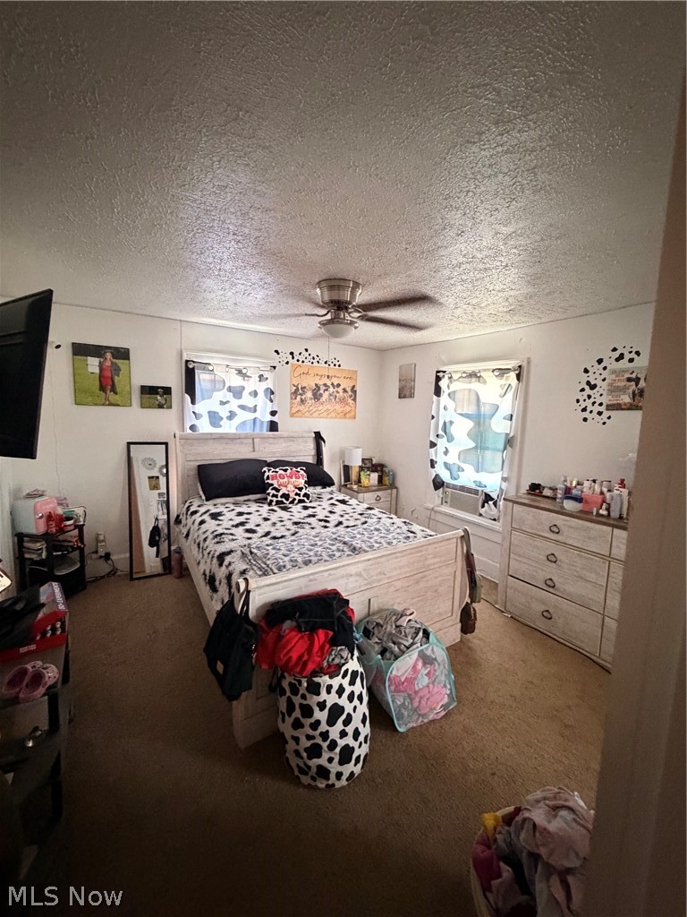 1217 Park Avenue, Canton, OH - Photo 8