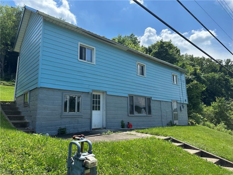 56390 Boyd Avenue, Bridgeport, OH - Photo 6