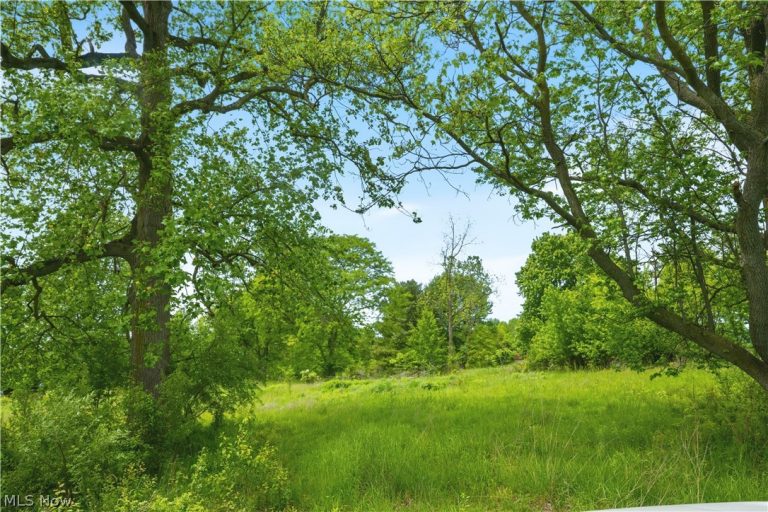 3133 Greenwich Road, Wadsworth, OH - Photo 4