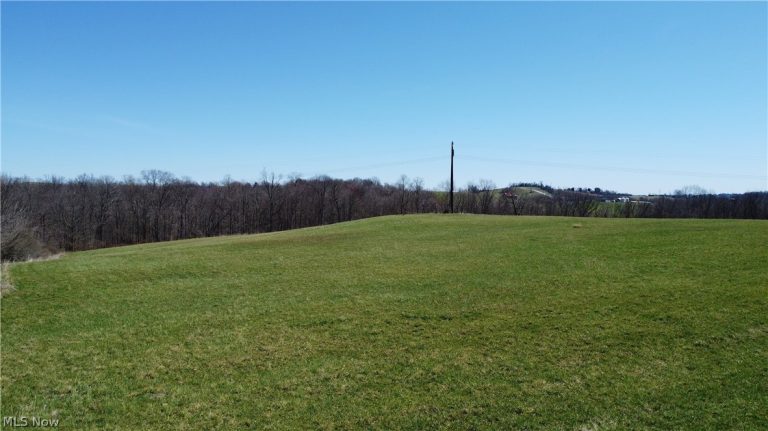 Zunick Road, Bridgeport, OH - Photo 4