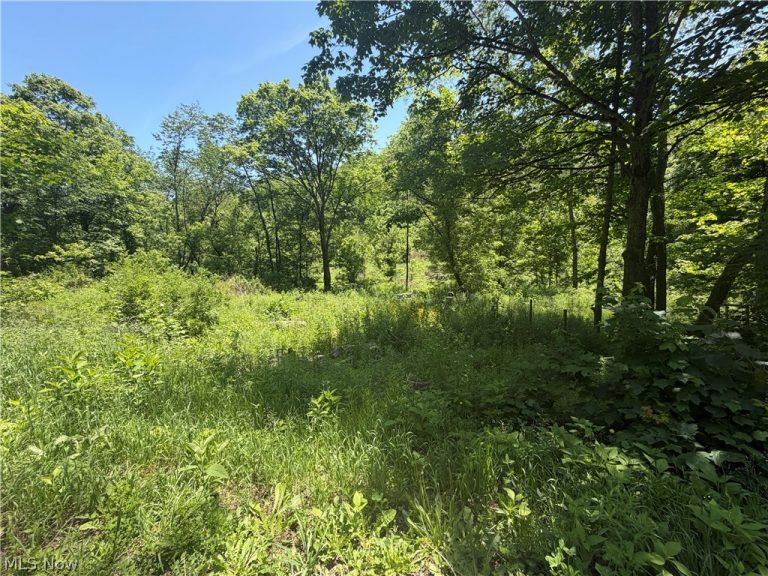 15692 Sligo Road, Kimbolton, OH - Photo 5