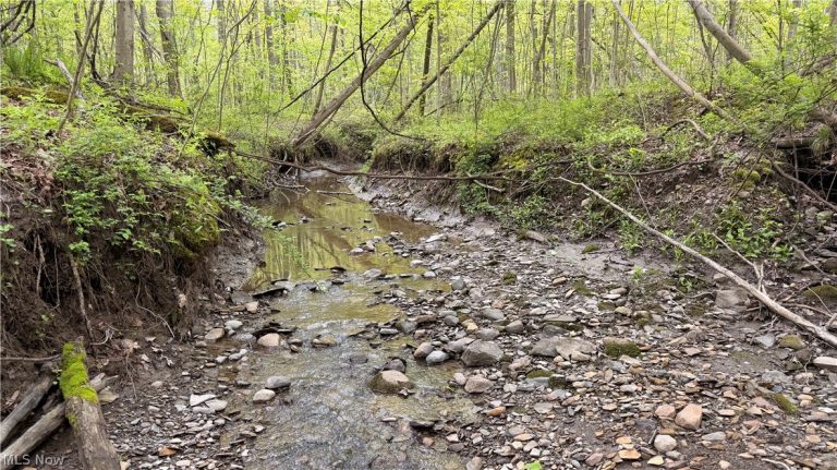 Munson Hill Road, Ashtabula, OH - Photo 3