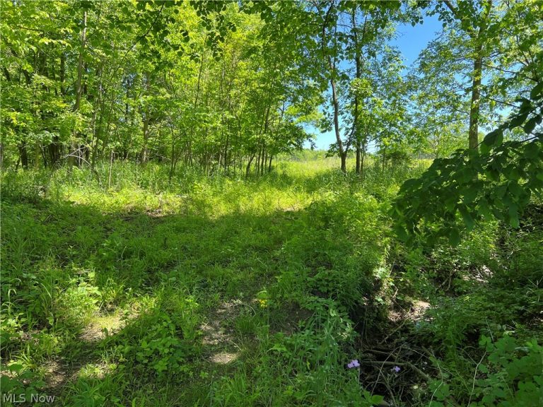 Shaw Road, Spencer, OH - Photo 8