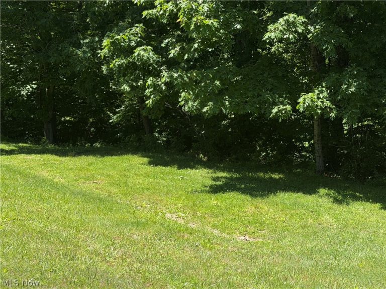 345 Tower, Elizabeth, WV - Photo 6