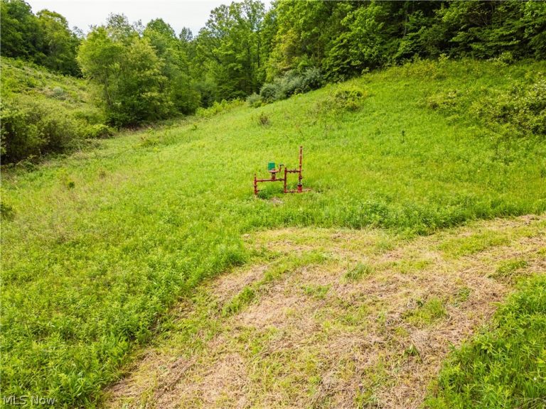 Edie Hill Road, Uhrichsville, OH - Photo 8