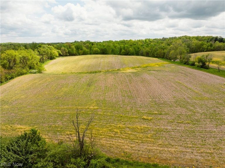 Garver Road, Mansfield, OH - Photo 2