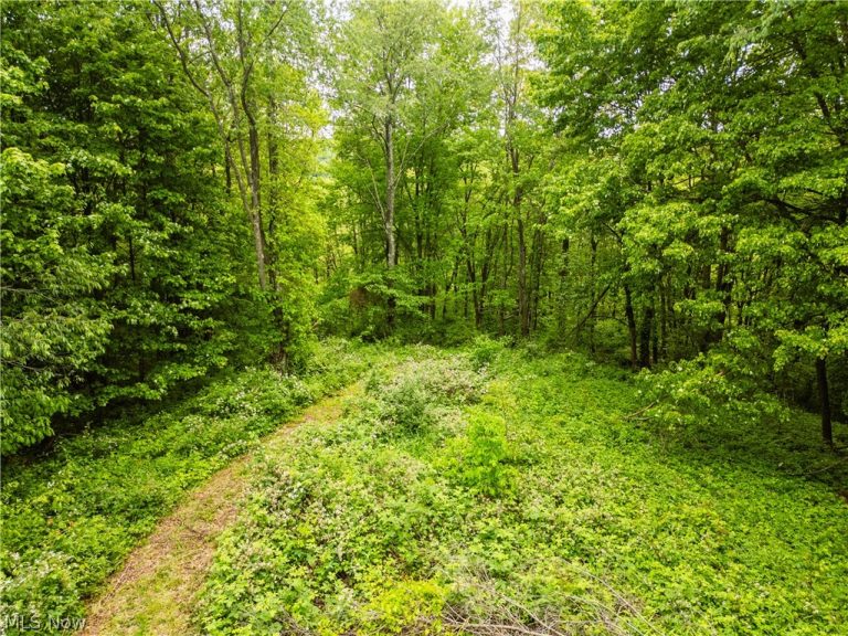 Edie Hill Road, Uhrichsville, OH - Photo 3