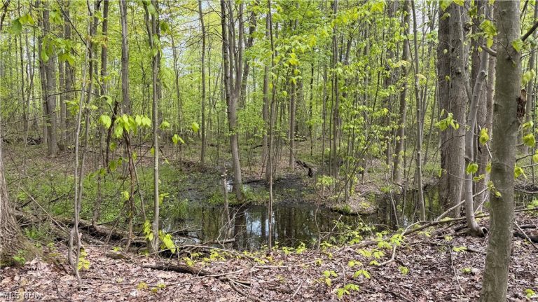 Munson Hill Road, Ashtabula, OH - Photo 2