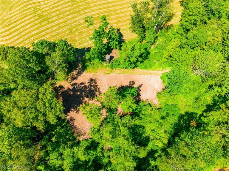 3188 Amsterdam Road, Scio, OH - Photo 3
