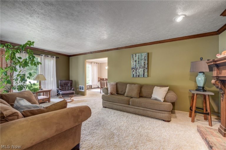 5920 Mills Creek Lane, North Ridgeville, OH - Photo 8