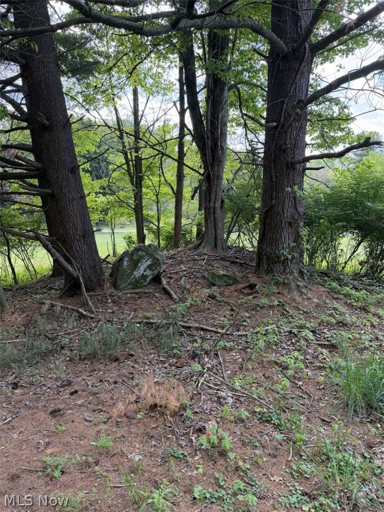 Township Road 1193, Coshocton, OH - Photo 4