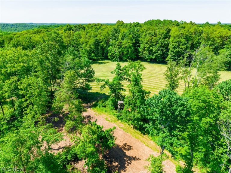 3188 Amsterdam Road, Scio, OH - Photo 2