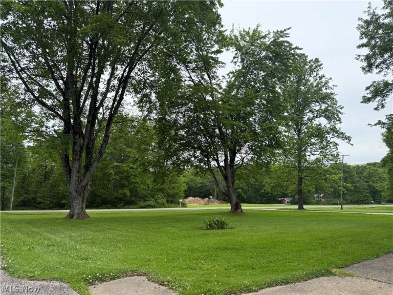11800 Frost Road, Mantua, OH - Photo 4