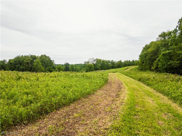 Edie Hill Road, Uhrichsville, OH - Photo 5