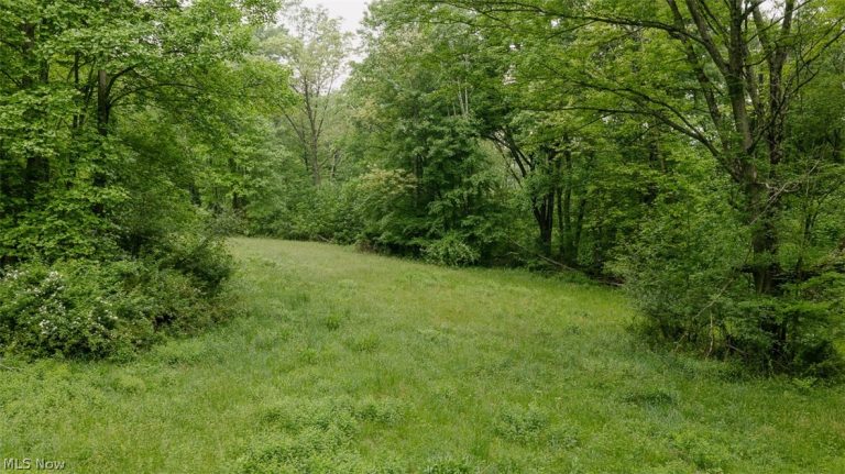 Chestnut Ridge Ridge, Masury, OH - Photo 4