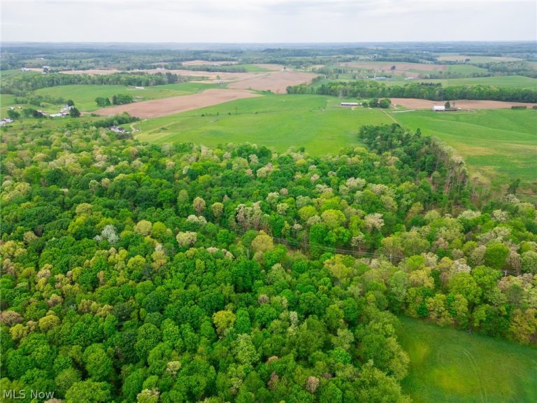St. Rt. 644, Salineville, OH - Photo 8