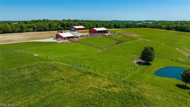 10550 Amish Ridge Road, Mount Perry, OH - Photo 8