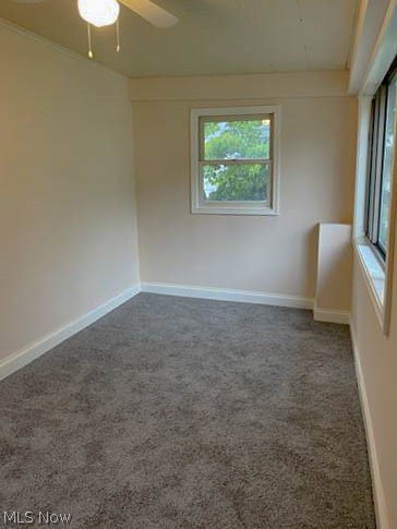 684 Evans Avenue, Akron, OH - Photo 3