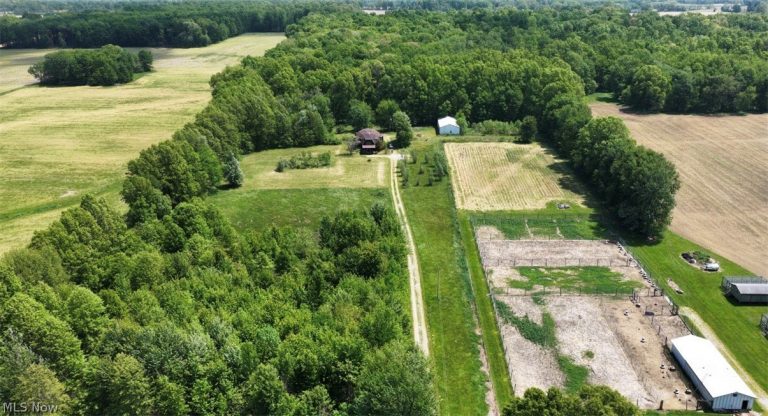 1235 Township Road 353, Ashland, OH - Photo 8
