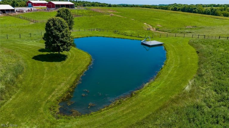 10550 Amish Ridge Road, Mount Perry, OH - Photo 6
