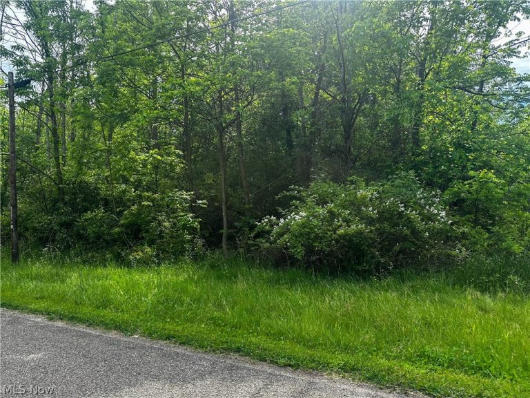 2375 Howland Wilson Road, Cortland, OH - Photo 2