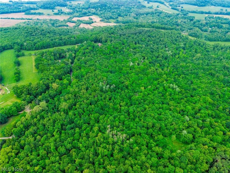 Miller Hill Road, Sherrodsville, OH, 44678