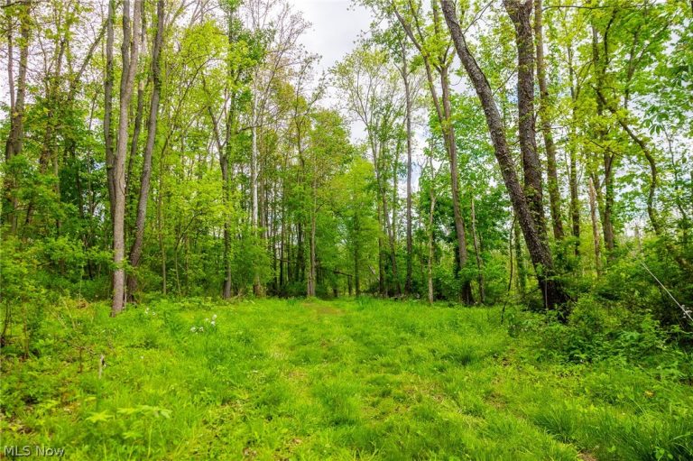 4686 Valley Road, Wooster, OH - Photo 6