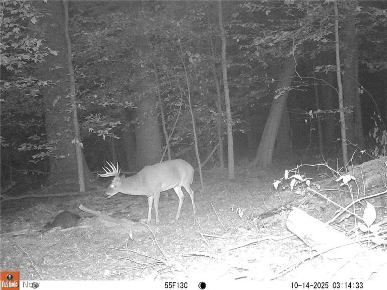 6060 Dalton Fox Lake Road, North Lawrence, OH - Photo 8