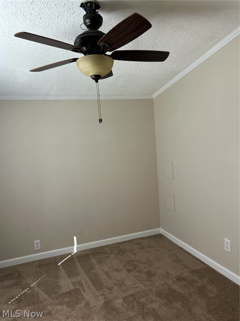10193 Oakwood Street, Byesville, OH - Photo 8