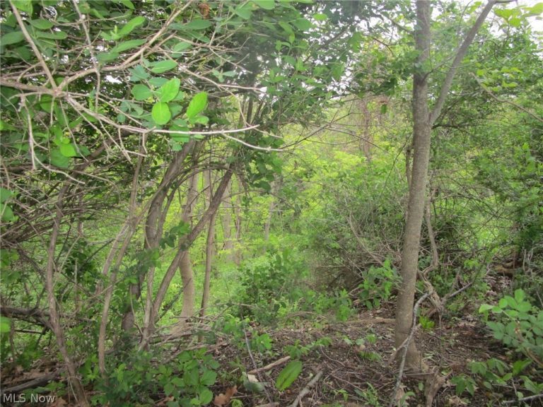 Daniels Avenue, Conneaut, OH - Photo 4