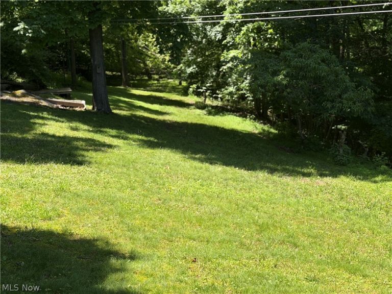 345 Tower, Elizabeth, WV - Photo 3