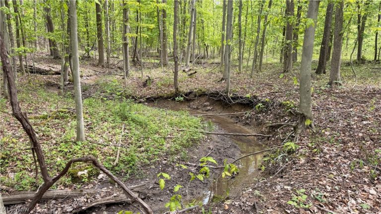 Munson Hill Road, Ashtabula, OH - Photo 5