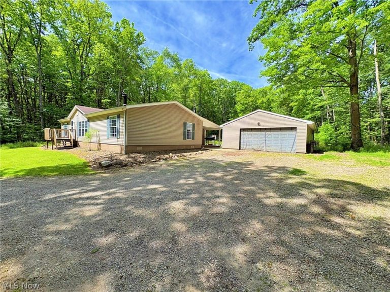 4233 County Line Road, Diamond, OH - Photo 6