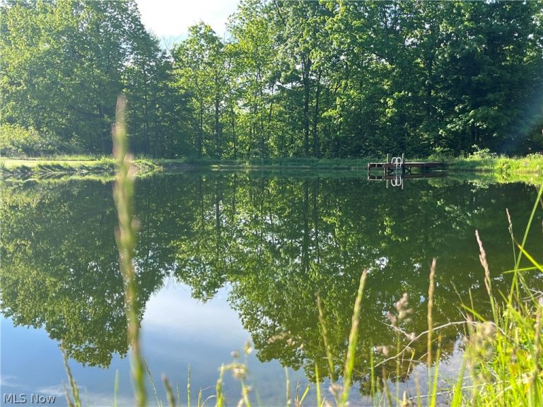 VL Ridge Road, Geneva, OH - Photo 5