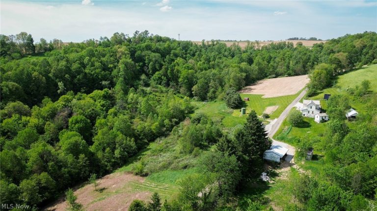 Degen Road, Stone Creek, OH - Photo 5