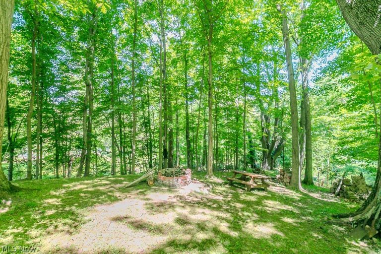 647 Robin Drive, Eastlake, OH - Photo 6